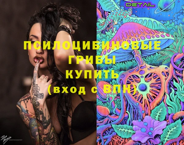 не бодяженный Аркадак
