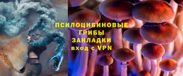 не бодяженный Аркадак